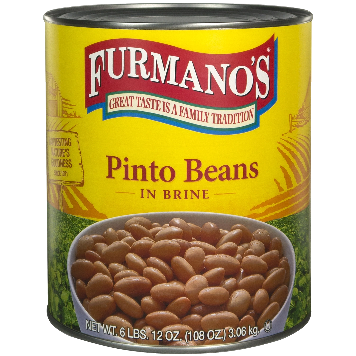 Pinto Beans